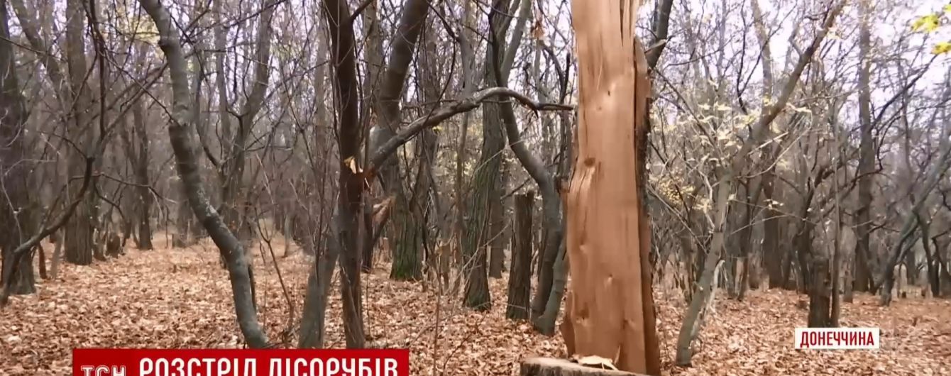 Загадковий розстріл чорних лісорубів: поліція Донеччини вже вийшла на слід нападників