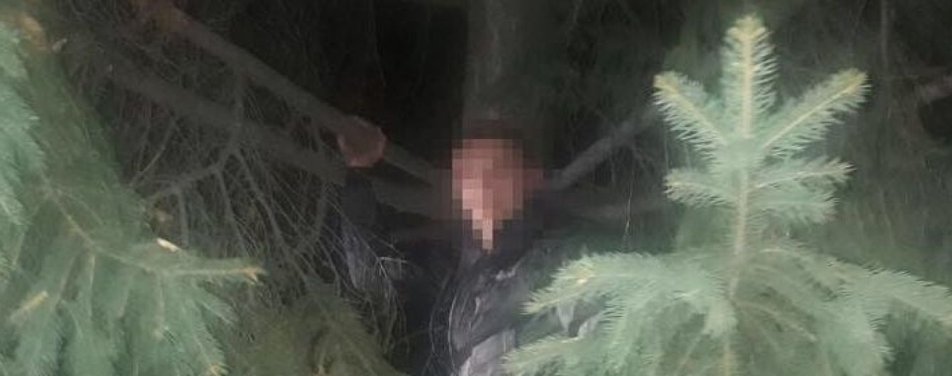 У Львові грабіжник заліз на дерево, тікаючи від поліції
