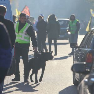 "Ліберальна лояльність до "евробляхерів" закінчилася". МВС почало оголосило про початок розблокування усіх доріг в Україні
