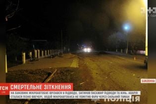 На Буковине произошло смертельное ДТП с повозкой