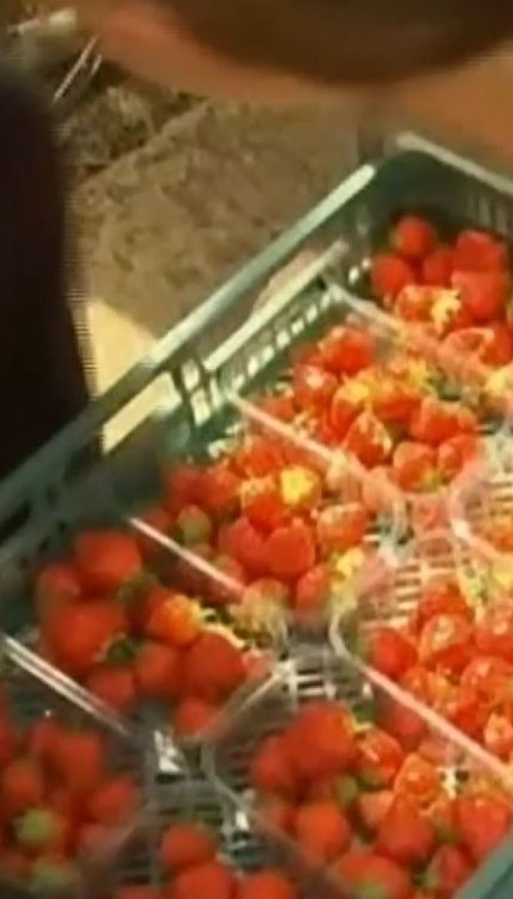 В Австралии задержали женщину, причастную к клубничному скандалу