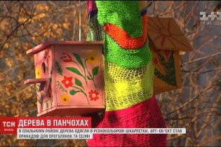 У спальному районі Києва кілька дерев одягли в різнокольорові панхочи