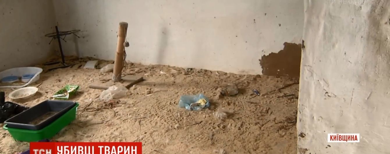 На Київщині шкуродери під виглядом зоозахисників облаштували "фабрику смерті" котів і собак