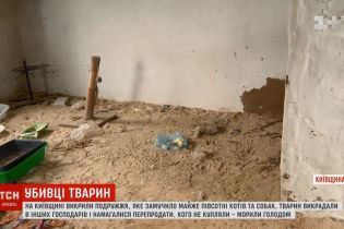 На Киевщине живодеры под видом зоозащитников обустроили "фабрику смерти" кошек и собак