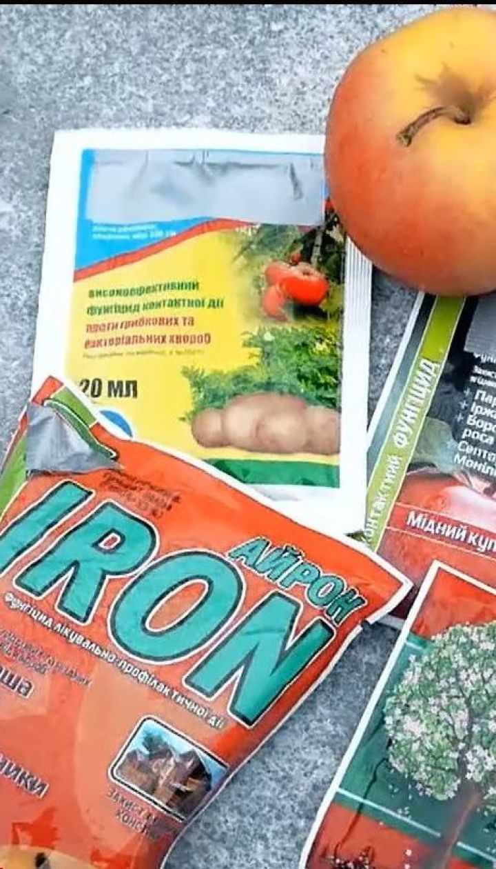 Чим обробити сад від хвороб і шкідників восени
