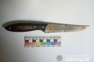 На Днепропетровщине парень искромсал свою 13-летнюю сестру из-за компьютера