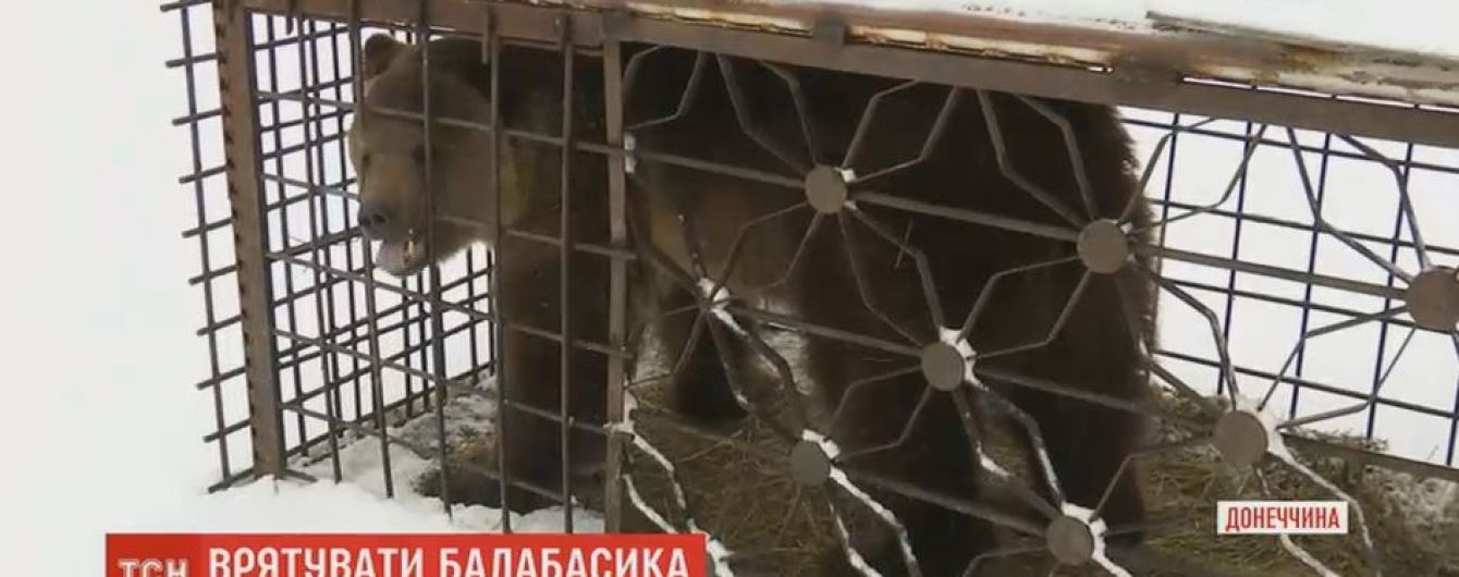 В Запорожье спасают хищников, которых забрали из зверинца на Донетчине