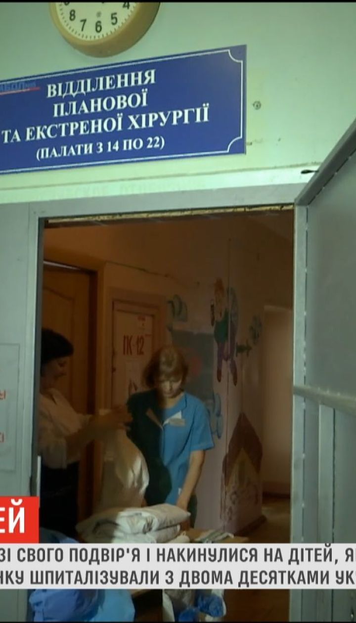 В Запорожье собаки чуть не загрызли 6-летнюю девочку