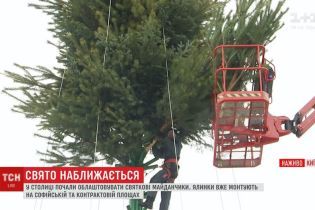 На Софийской площади собирают главную елку страны