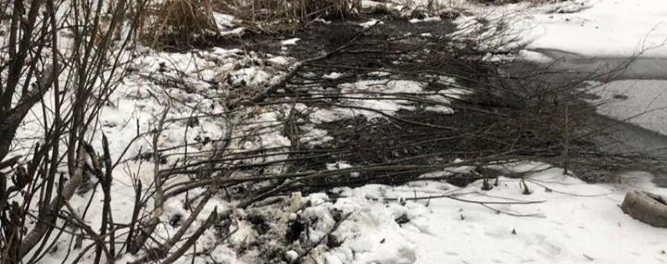 В Киеве провалилась под лед и утонула женщина