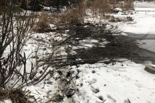 В Киеве провалилась под лед и утонула женщина
