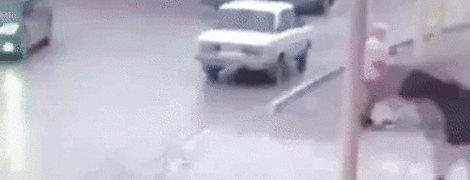 В Чечне напуганная лошадь влетела на всех порах в Toyota. Видео