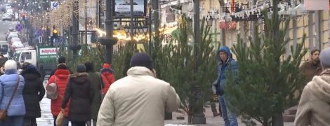 Срубленные елки на фонарных столбах. В Сети возмущены рождественскими "украшениями" в центре Киева