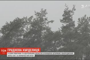 Негода в Україні: синоптики прогнозують до 20 сантиметрів снігу