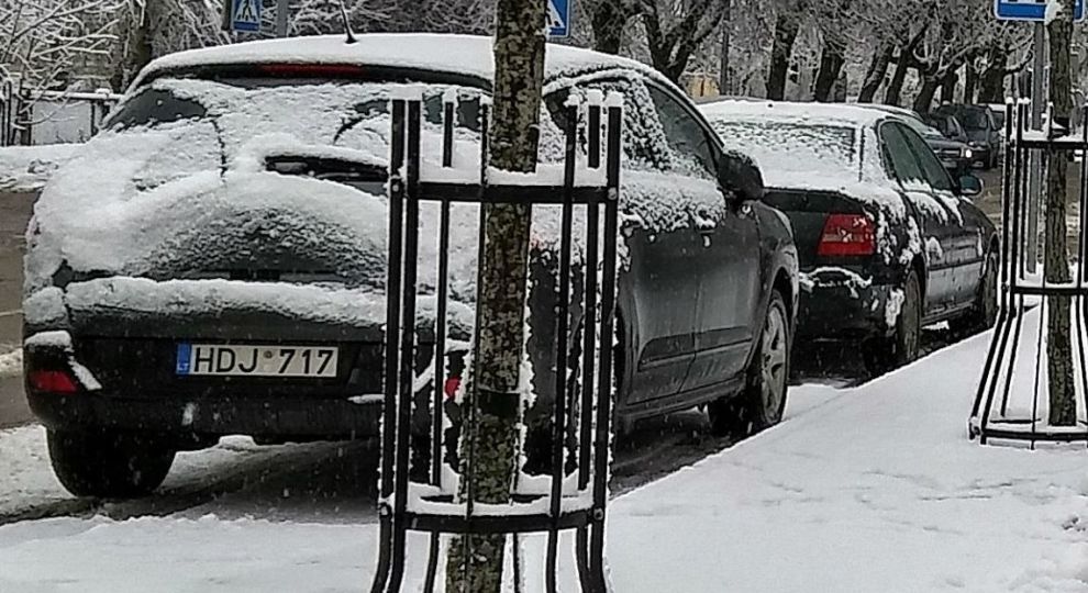 На Львівщині розмитнили 170 "євроблях" за день