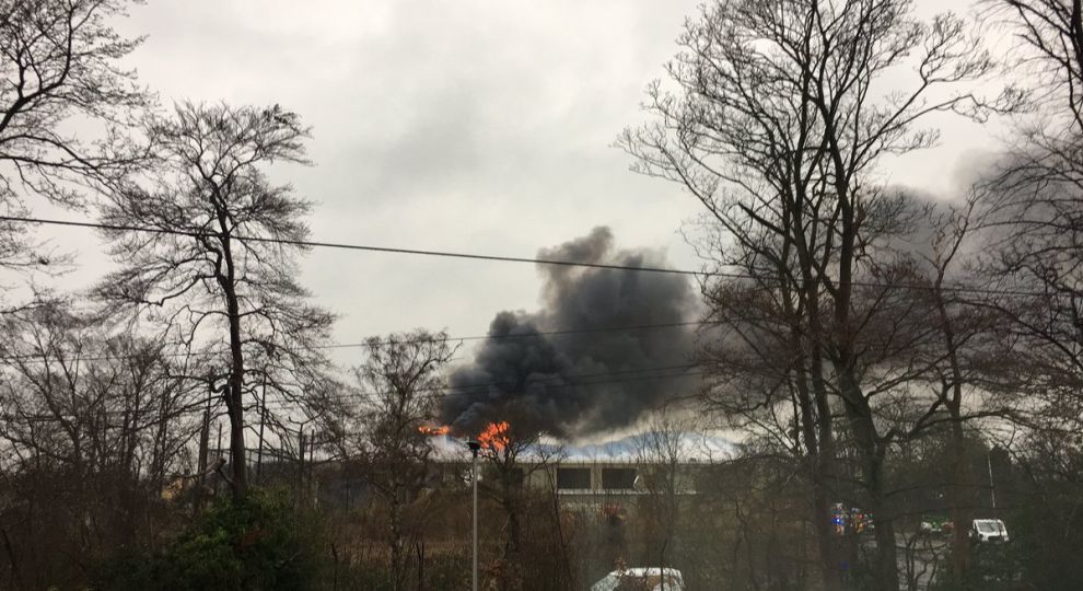 В одному з найбільших зоопарків Британії почалася потужна пожежа