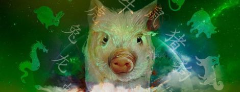 Новий 2019 рік: що Жовта свиня нам готує