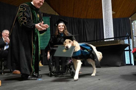 Собака-поводир отримав диплом разом з хазяйкою