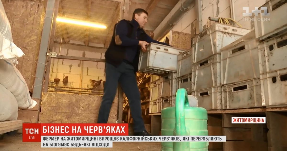 "Сок" из червей: на Житомирщине фермер начал рискованный бизнес
