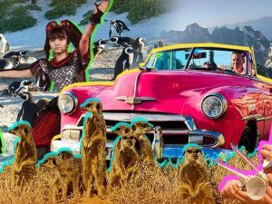 От Новой Зеландии до Кыргызстана: travel-тренды 2019 года