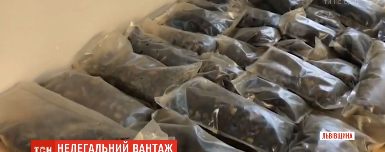 Журналістів на Волині побили митники, справу розслідує ДБР