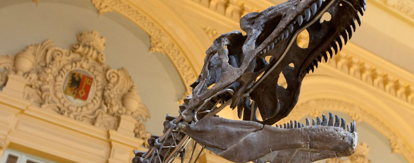 Удивительное открытие меняет взгляд на историю: ученые нашли неизвестного ранее динозавра-гиганта