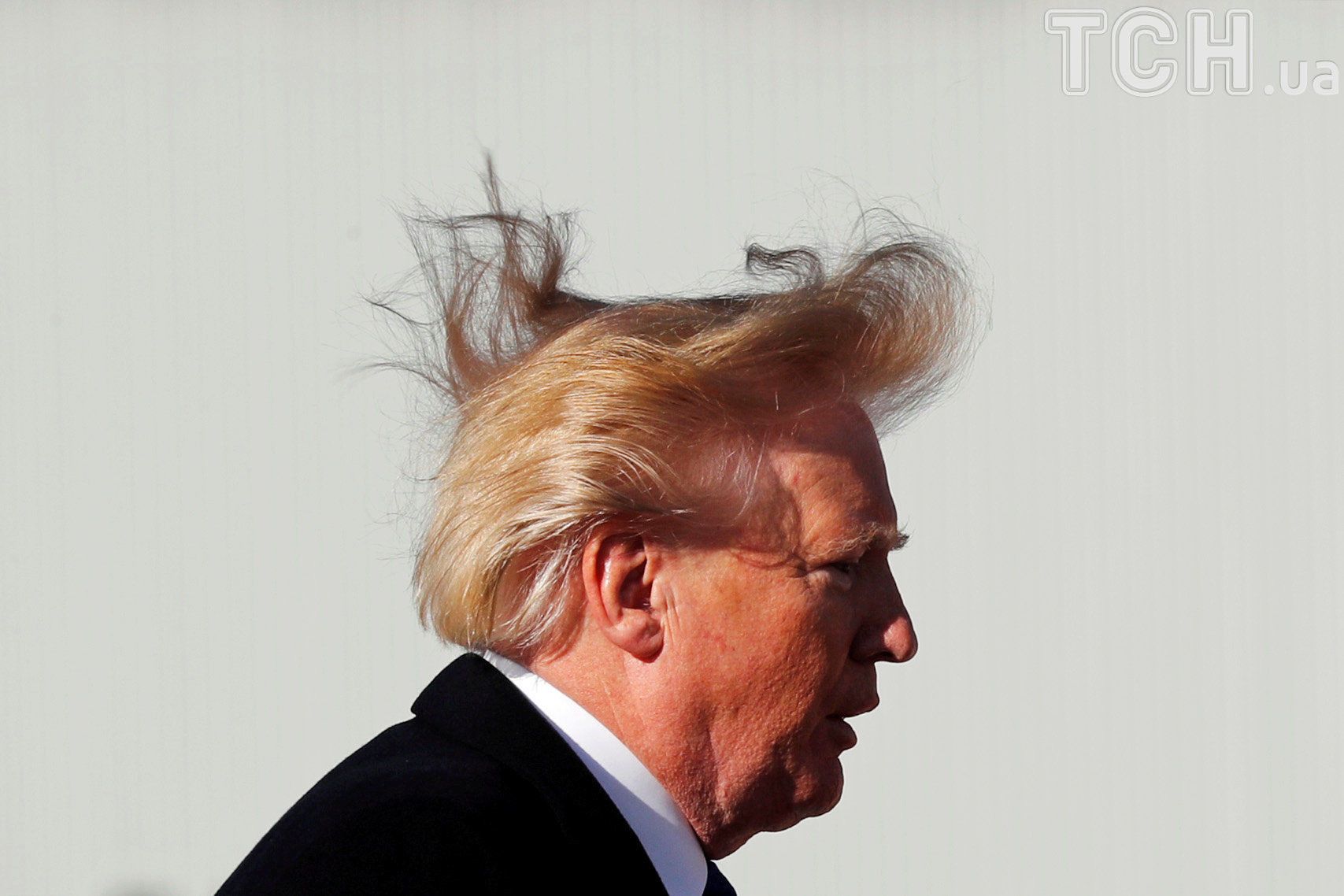 Цвет волос трампа Цвет волос трампа