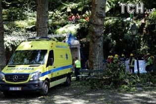 На португальском курорте двухсотлетний дуб убил 12 человек