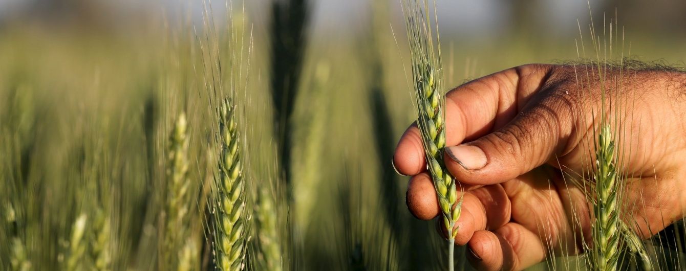 Голова Волинської облради виступив проти зняття мораторію на продаж землі