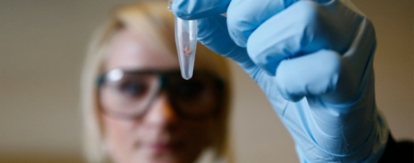 Революційне відкриття: Учені розшифрували ДНК предків Homo sapiens