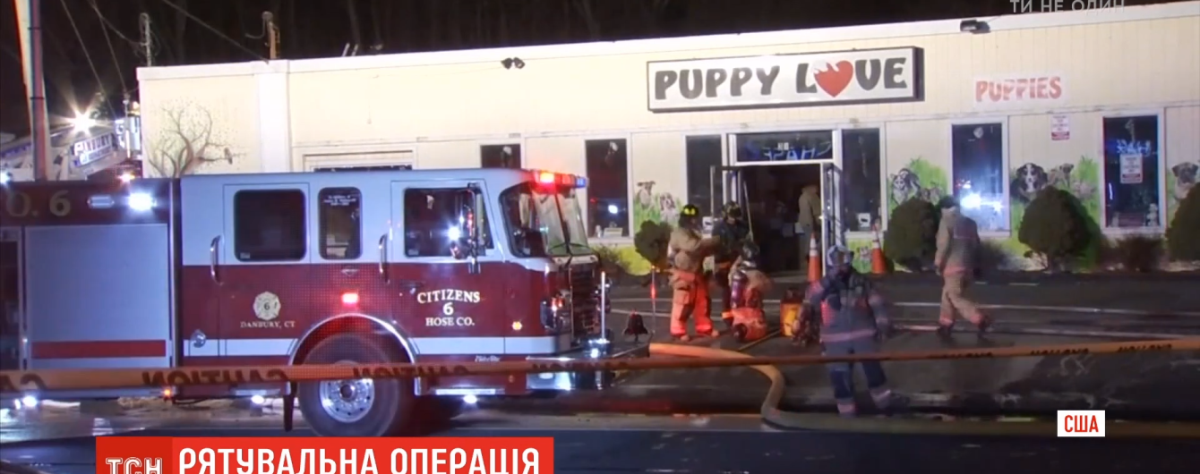 "Щасливий порятунок". У США пожежники та волонтери винесли з охопленого полум'ям зоомагазину 86 цуценят