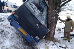 На Херсонщине автобус с пассажирами слетел с дороги и протаранил дерево