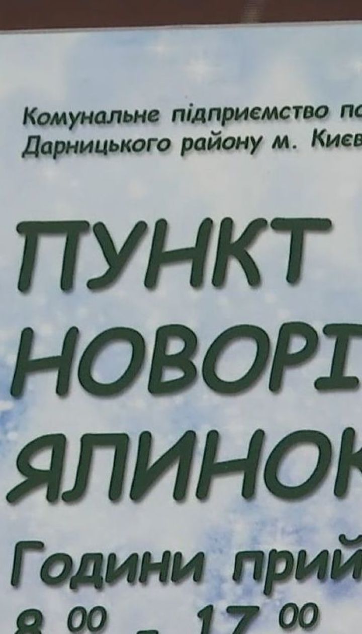 Вторая жизнь старой елки: коммунальщики призывают нести хвою в пункты утилизации