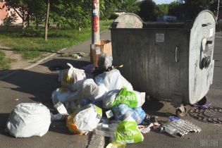 У Дніпрі вкрали сміттєві контейнери, щоб у них квасити капусту і солити кавуни