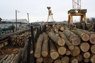 В Украине запустят электронные аукционы по продаже древесины