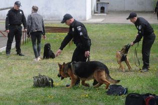 В Херсоне две маленькие девочки вышли гулять и исчезли