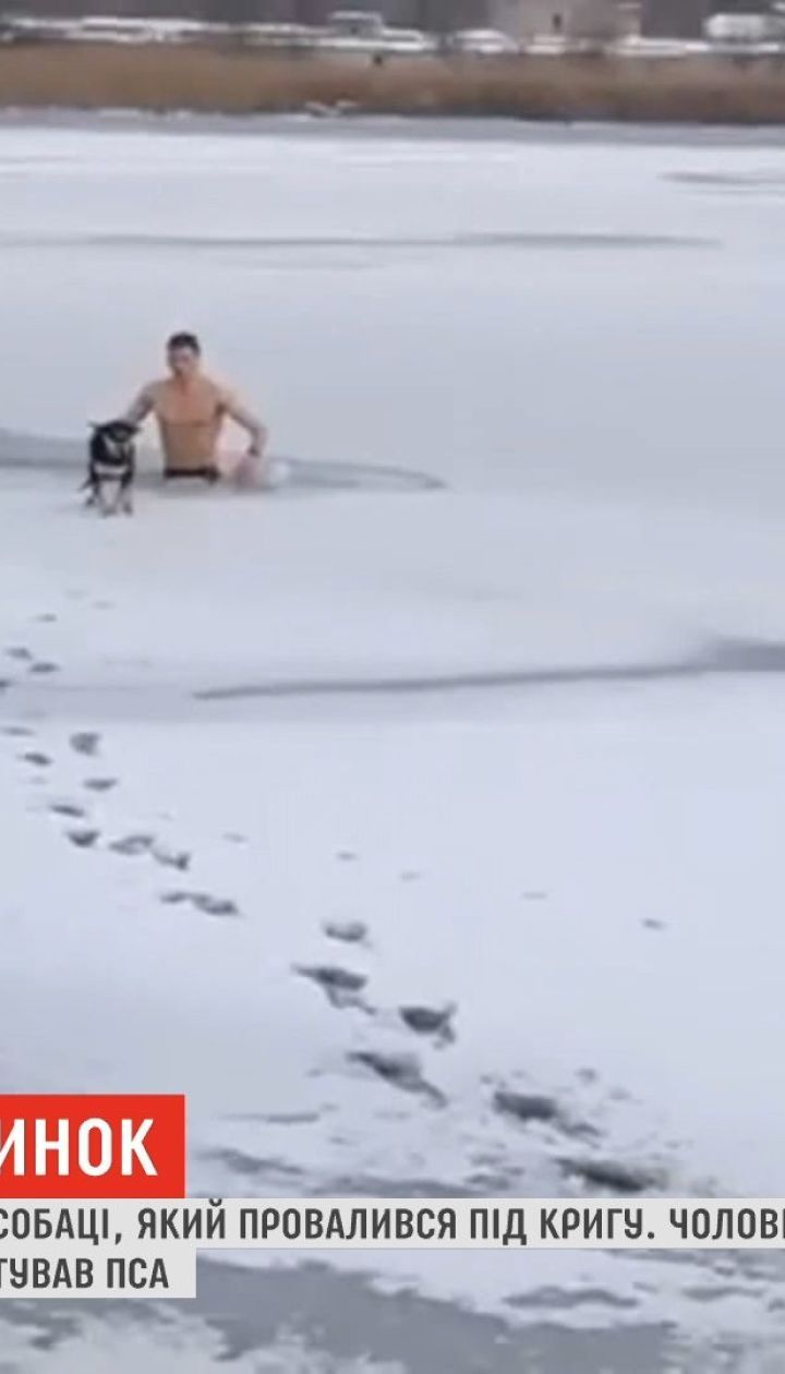 В Николаеве морпех спас собаку, которая провалилась под лед