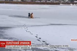 Морпіх витяг з-під криги собаку в Миколаєві