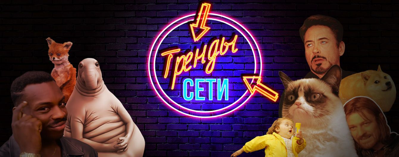 Удивительный снимок скопления звезд, которому 13,1 млрд лет, и альпака в цветных очках. Тренды Сети