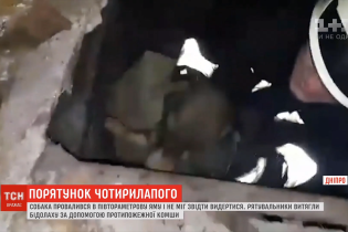 В Днепре спасатели достали собаку из-под земли