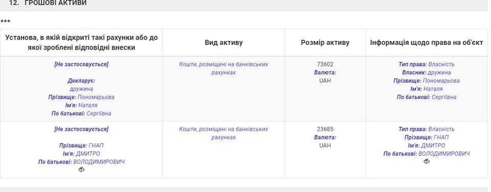 декларація дмитро гнап, гроші