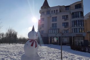 Юрист розповіла подробиці подальшої долі елітної квартири Януковича за 36 млн