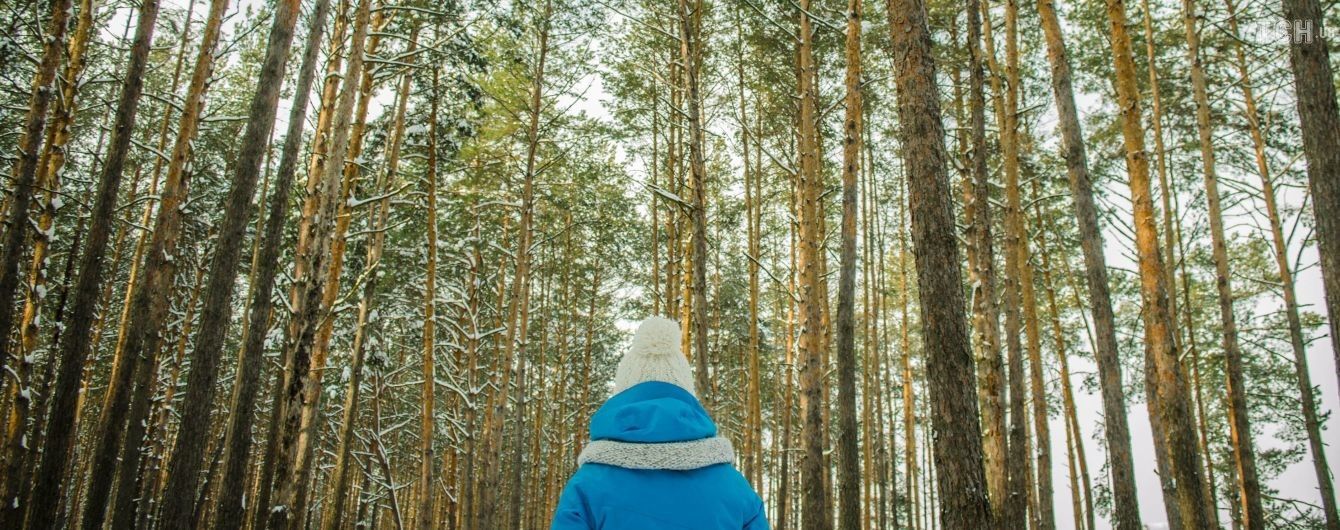 Погода на субботу: синоптики не обещают осадки, ожидается до 6 градусов тепла