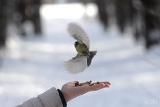 Погода на пятницу: в Украину пришло похолодание