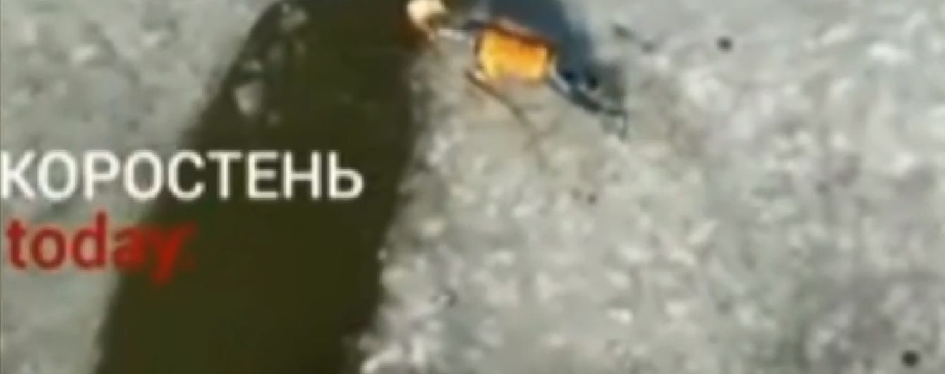 У Коростені школяр із ризиком для життя витяг з-під криги песика-дворнягу