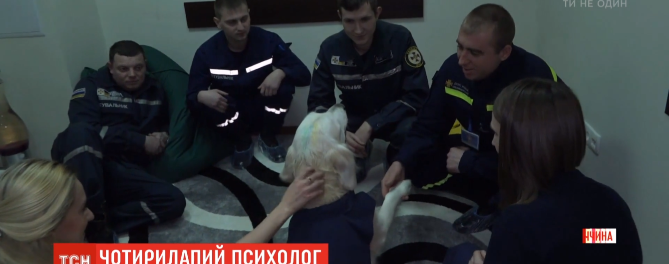 В Мариуполе пес избавляет спасателей от стресса