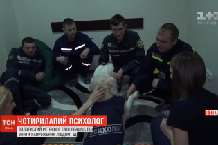 У Маріуполі пес рятує вогнеборців від стресу