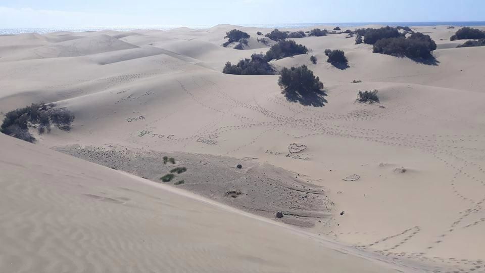 Канары