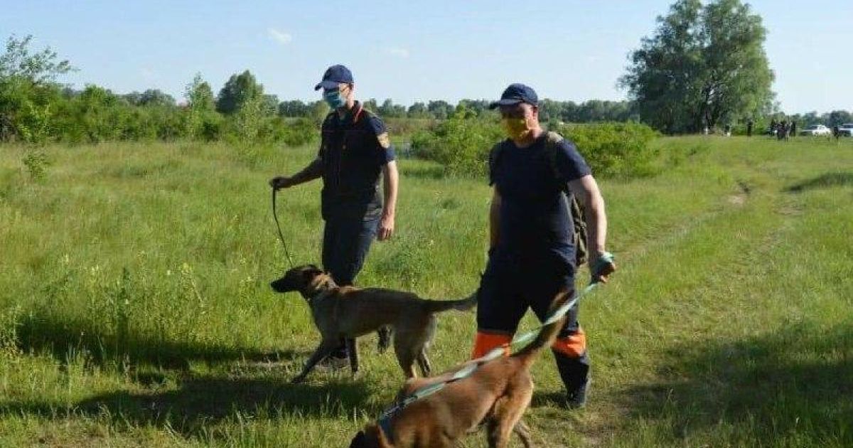 В Черниговской области в лесу заблудился трехлетний ребенок