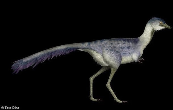 Динозавр роду Bonapartenykus / © dailymail.co.uk